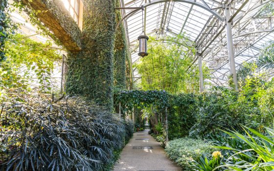 Conservatory District | Longwood Gardens